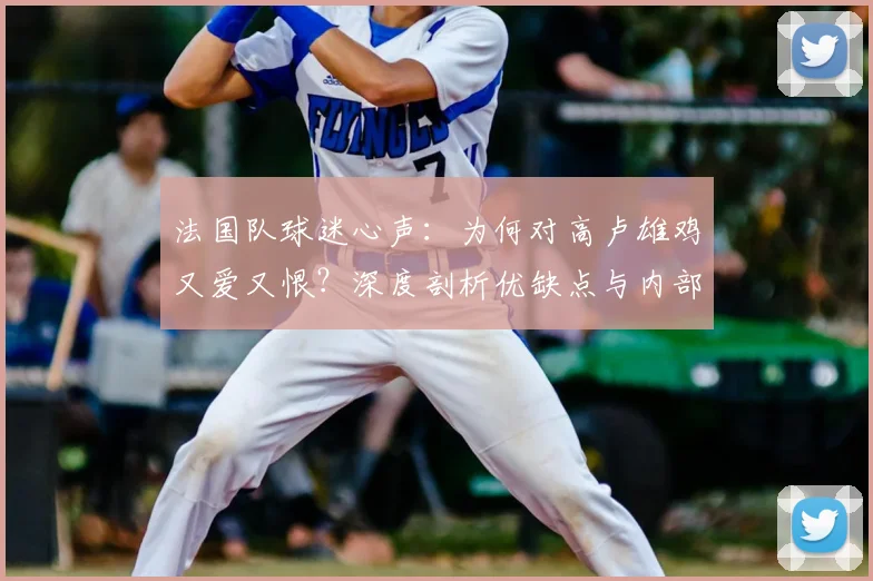 法国队球迷心声：为何对高卢雄鸡又爱又恨？深度剖析优缺点与内部争议