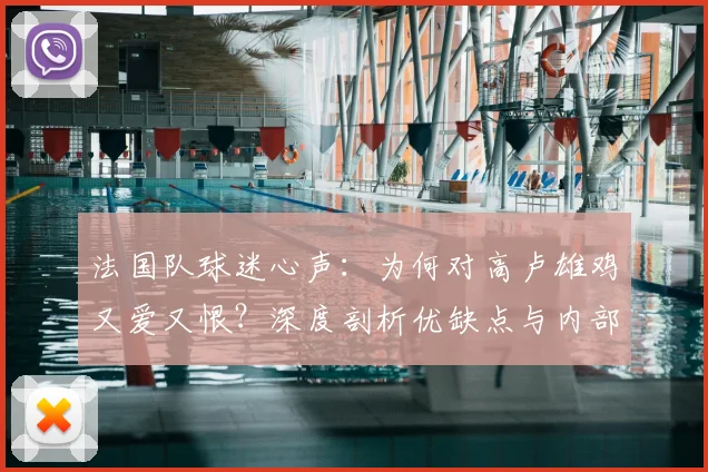 法国队球迷心声:为何对高卢雄鸡又爱又恨?深度剖析优缺点与内部争议
